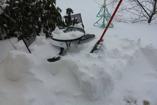 New Camera Dec2010 372